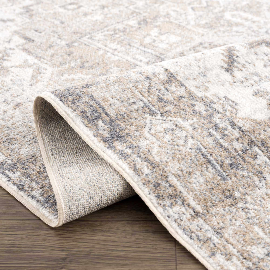 Transitional Ivory and Brown Machine Washable Rug - The Rug Decor