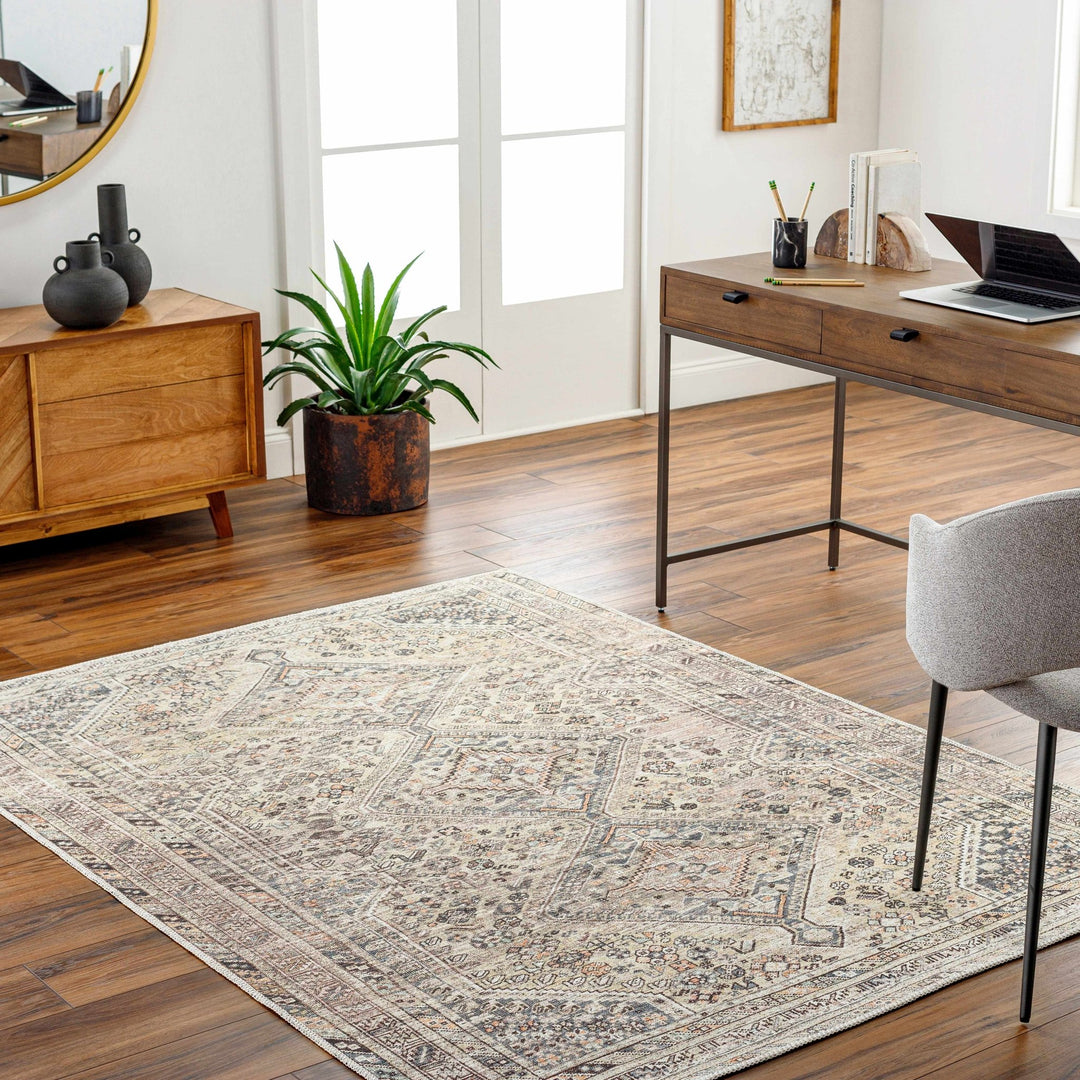 Vintage Style Beige and Charcoal Transitional Area Rug - The Rug Decor