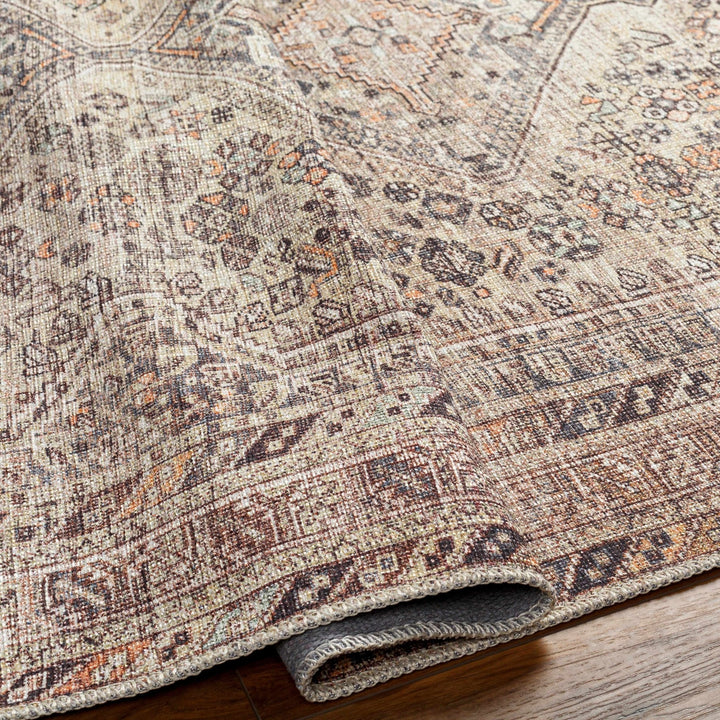 Vintage Style Beige and Charcoal Transitional Area Rug - The Rug Decor
