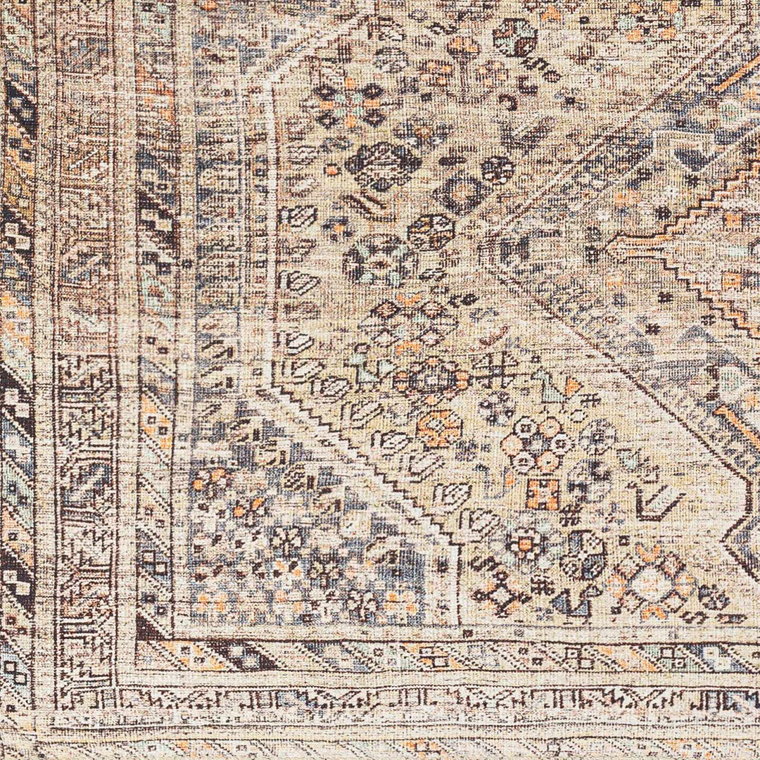 Vintage Style Beige and Charcoal Transitional Area Rug - The Rug Decor