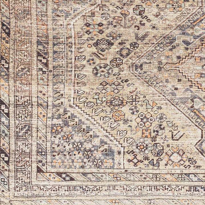 Vintage Style Beige and Charcoal Transitional Area Rug - The Rug Decor