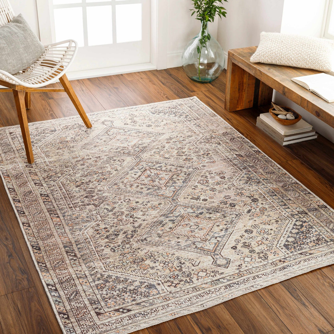 Vintage Style Beige and Charcoal Transitional Area Rug - The Rug Decor