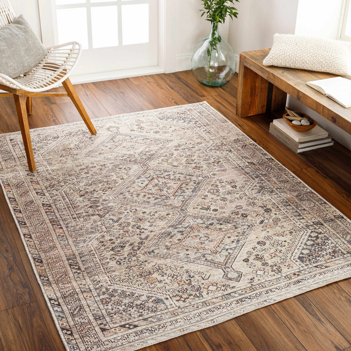 Vintage Style Beige and Charcoal Transitional Area Rug - The Rug Decor