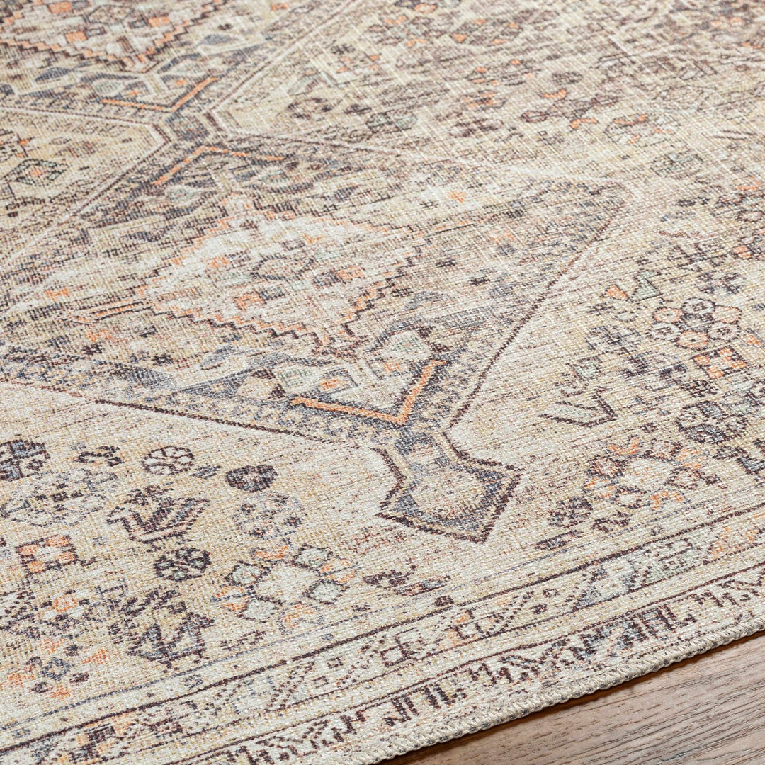 Vintage Style Beige and Charcoal Transitional Area Rug - The Rug Decor