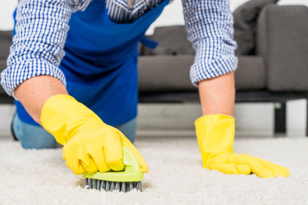 How to clean a white rug to keep it shining for a long time - The Rug Decor