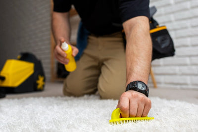 How to remove stains from Area Rugs? Your Extensive Rug Care Guide