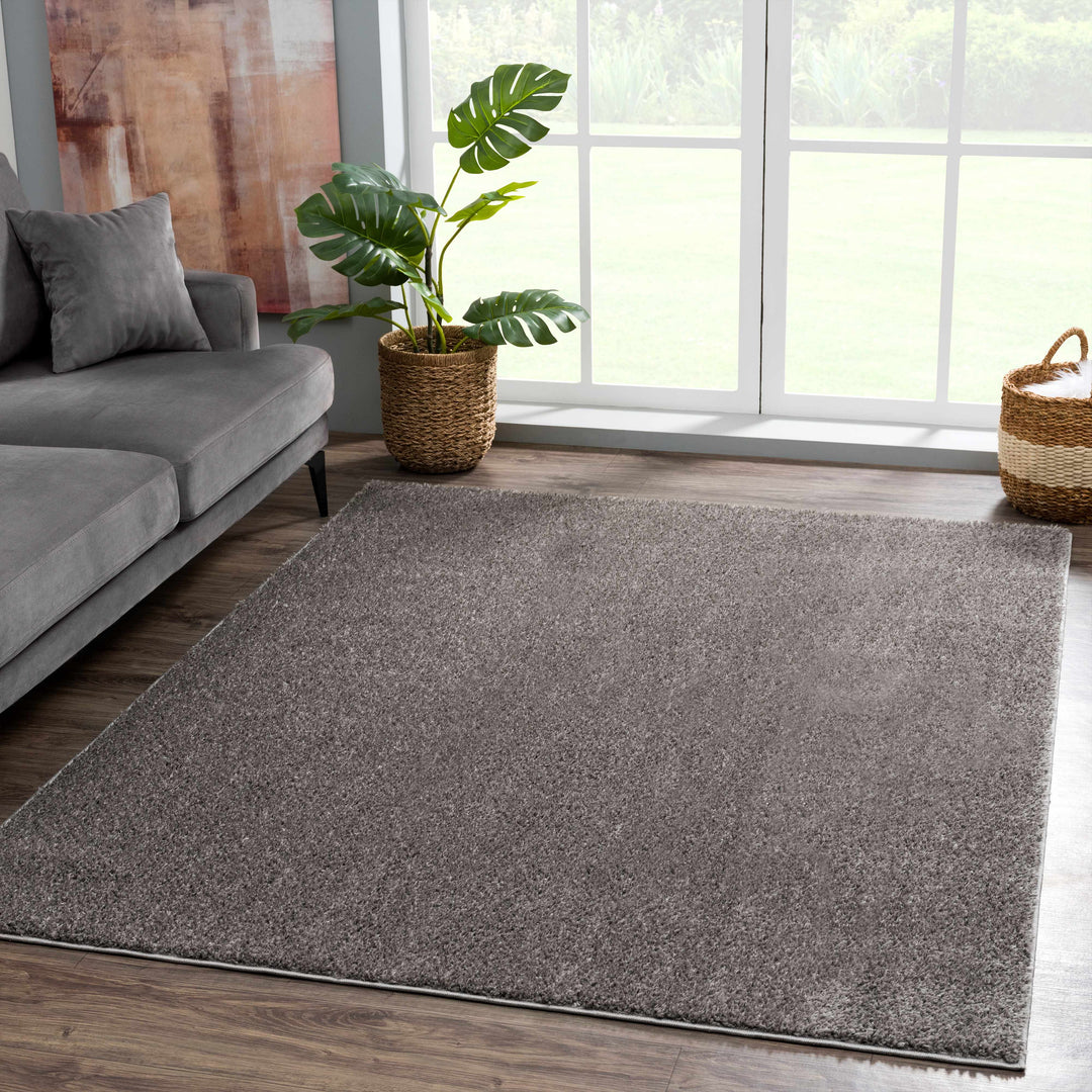 Judy Modern Solid Charcoal Polyester Rug