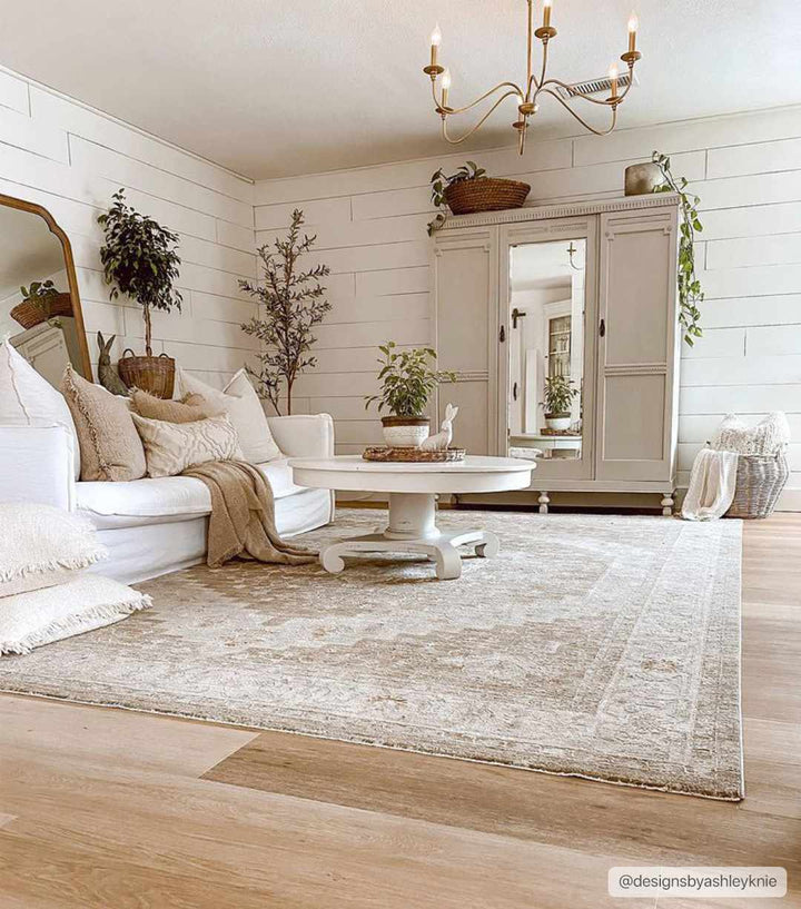 Canadensis Traditional Style Brown And Ivory Area Rug