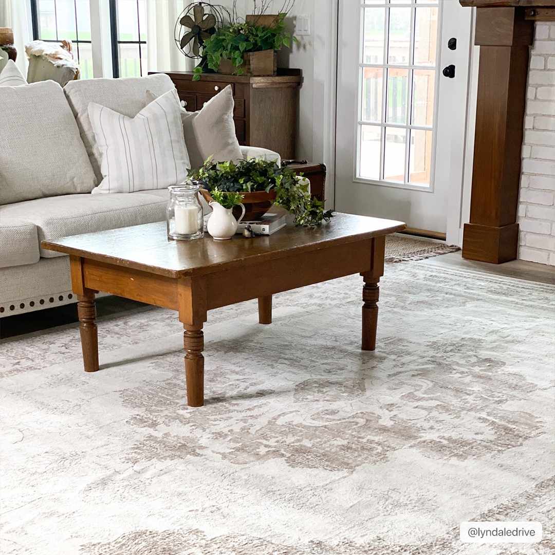 Benkelman Traditional Style Ivory And Beige Area Rug