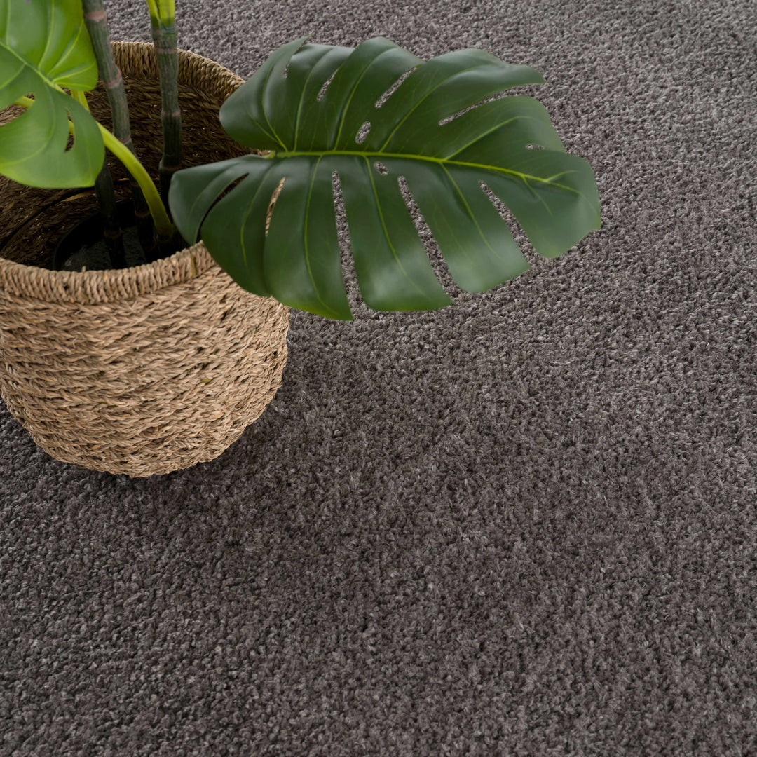 Judy Modern Solid Charcoal Polyester Rug