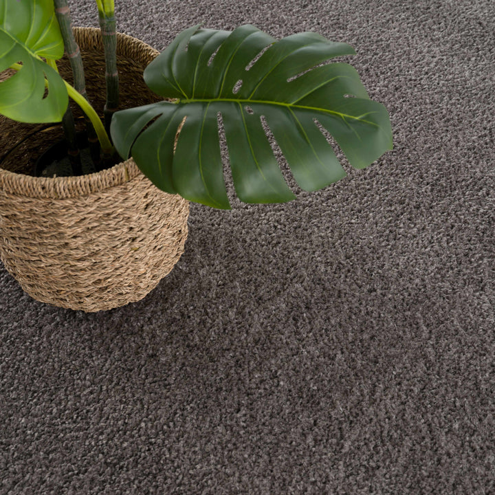 Judy Modern Solid Charcoal Polyester Rug