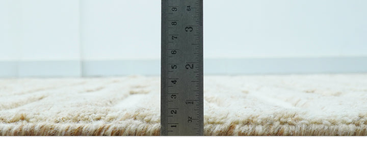 Custom Made Modern Contemporary Beige Hand Knotted Wool Area Rug