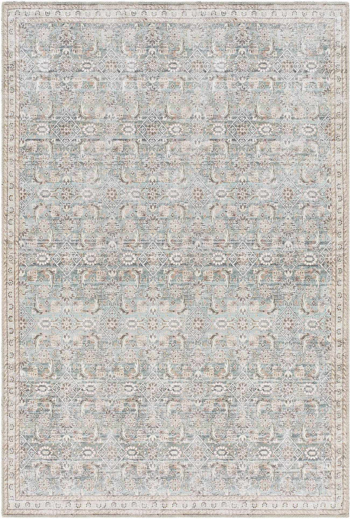 Ayanna Traditional Transitional Gray Washable Rug