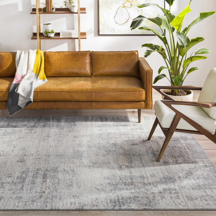 Apison Modern Abstract Design Gray Area Rug