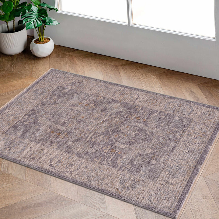 Binx Traditional Style Gray And Ivory Rug