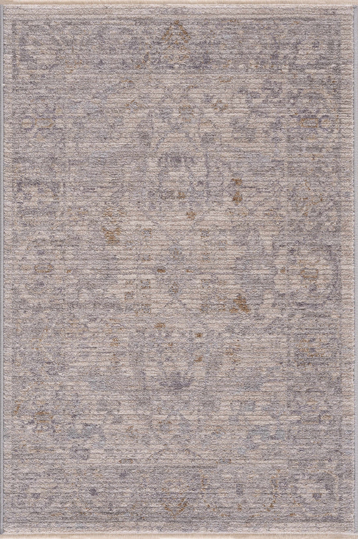 Ayarn Traditional Style Beige And Gray Area Rug
