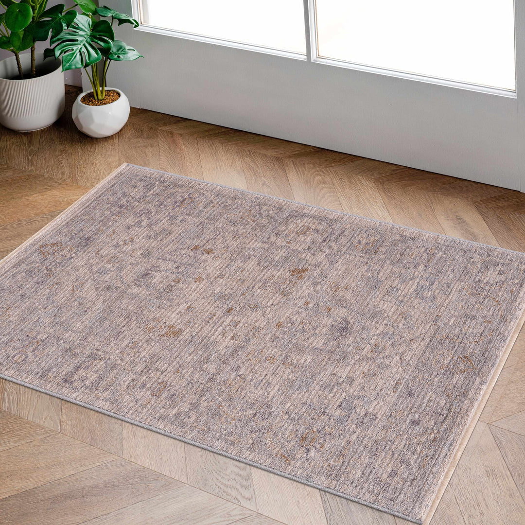 Ayarn Traditional Style Beige And Gray Area Rug