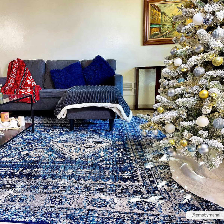 Andes Blue And gray Traditional Medallion Design Area Rug