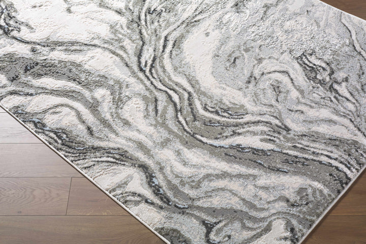 Brandi Modern Abstract Design Gray Area Rug