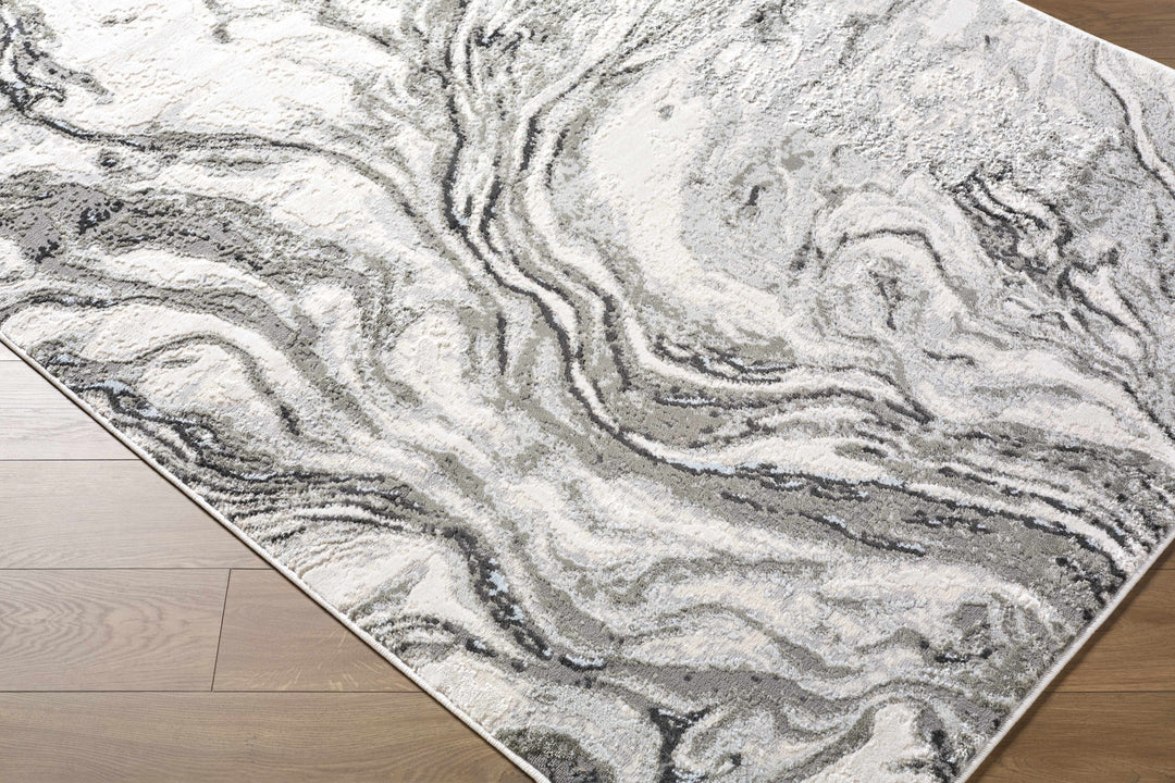 Brandi Modern Abstract Design Gray Area Rug