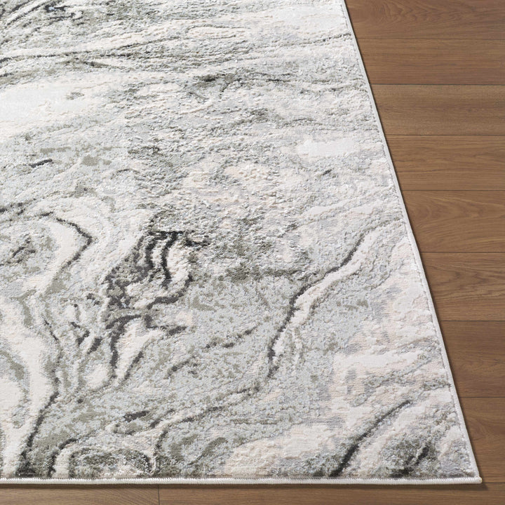 Brandi Modern Abstract Design Gray Area Rug