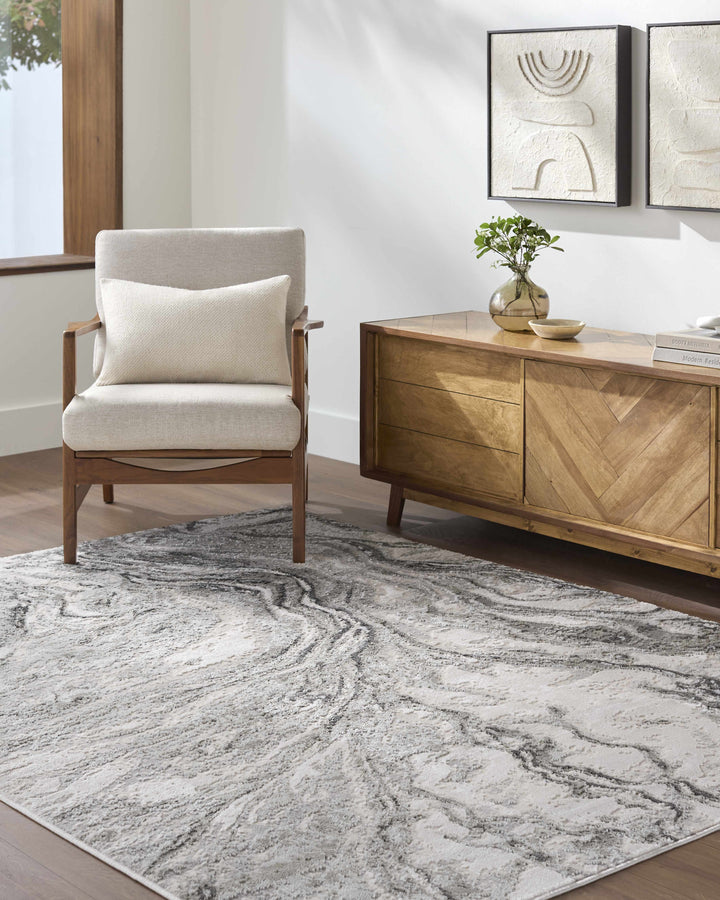 Brandi Modern Abstract Design Gray Area Rug