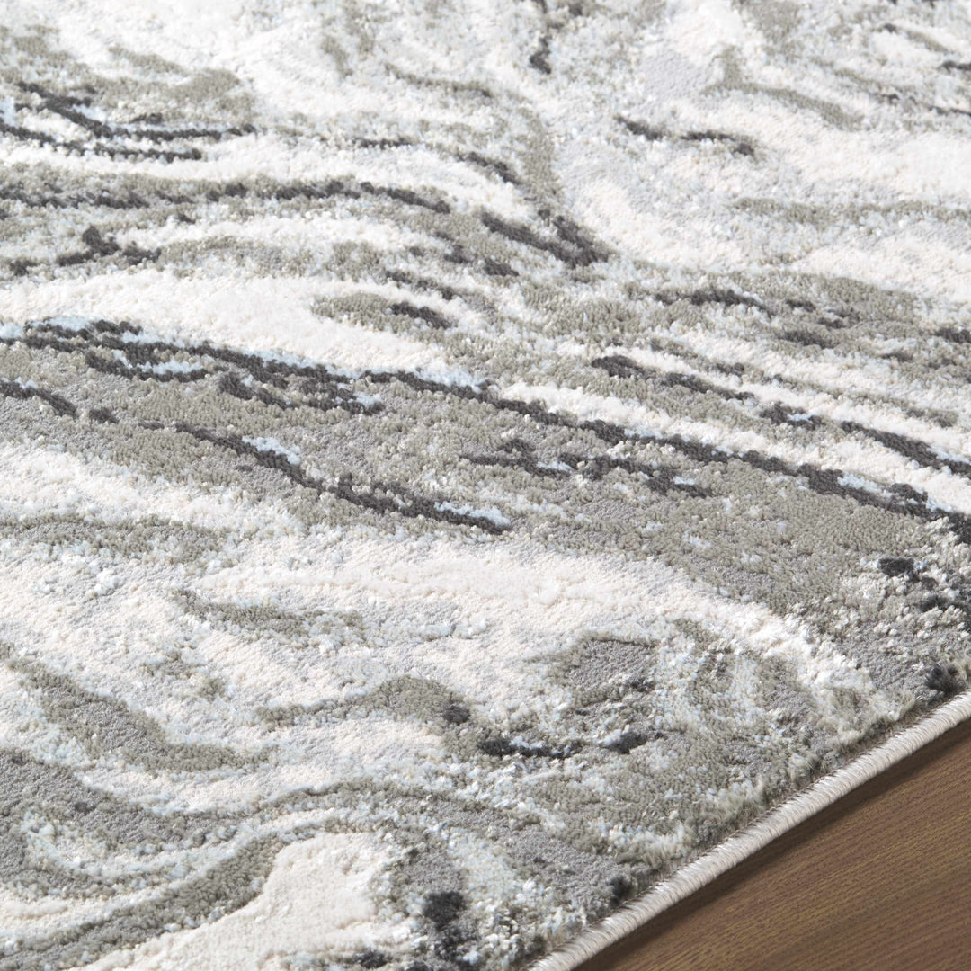 Brandi Modern Abstract Design Gray Area Rug