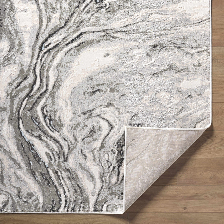 Brandi Modern Abstract Design Gray Area Rug