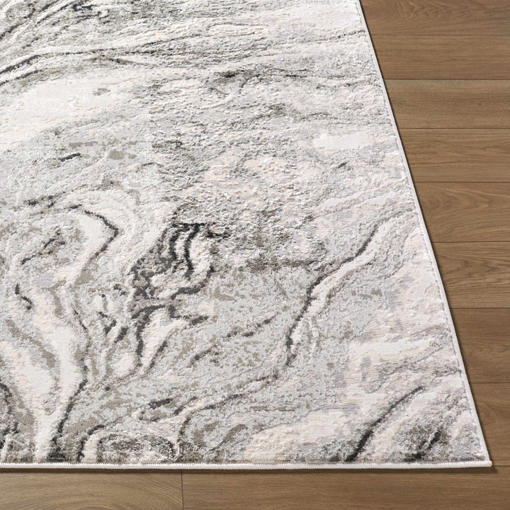 Brandi Modern Abstract Design Gray Area Rug