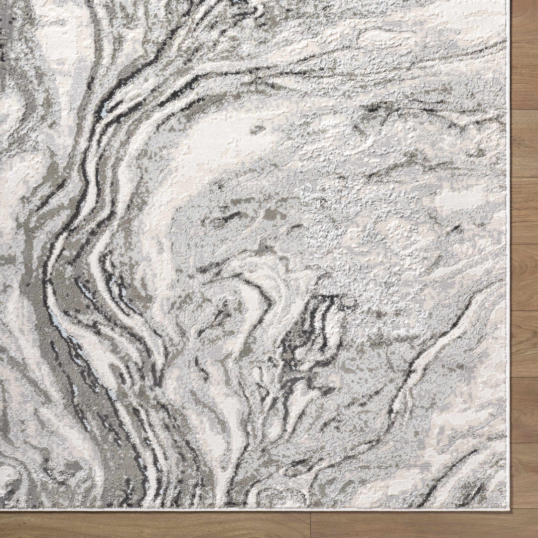 Brandi Modern Abstract Design Gray Area Rug