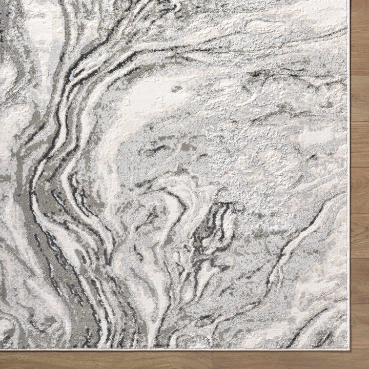 Brandi Modern Abstract Design Gray Area Rug