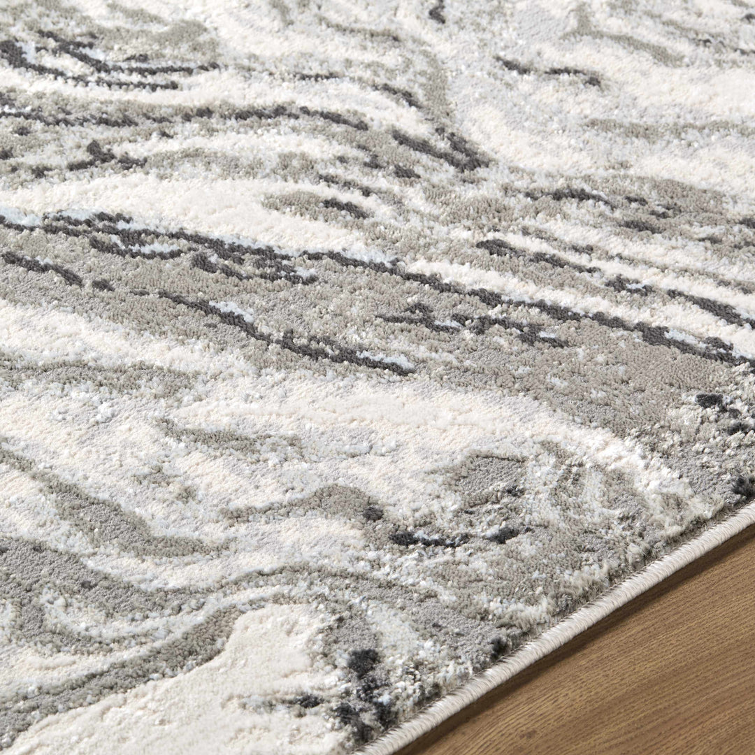 Brandi Modern Abstract Design Gray Area Rug