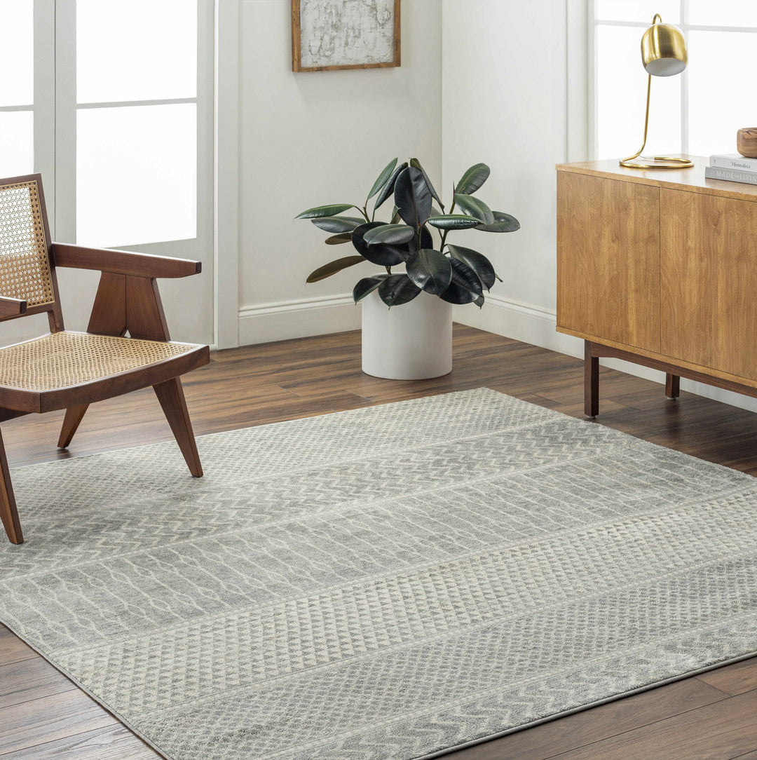 Bingham Modern Geometrical Design Gray Area Rug