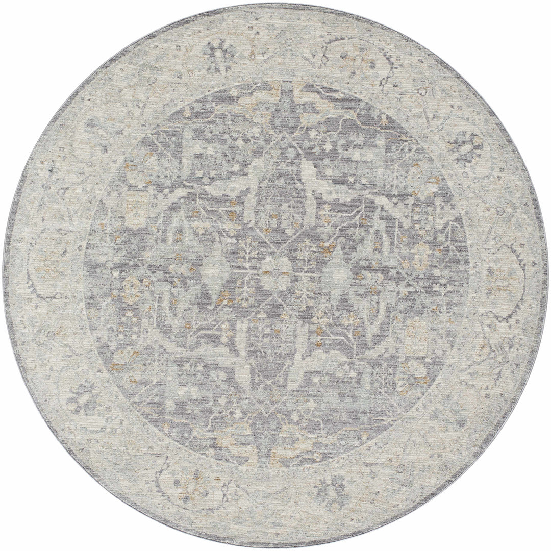 Binx Traditional Style Gray And Ivory Rug