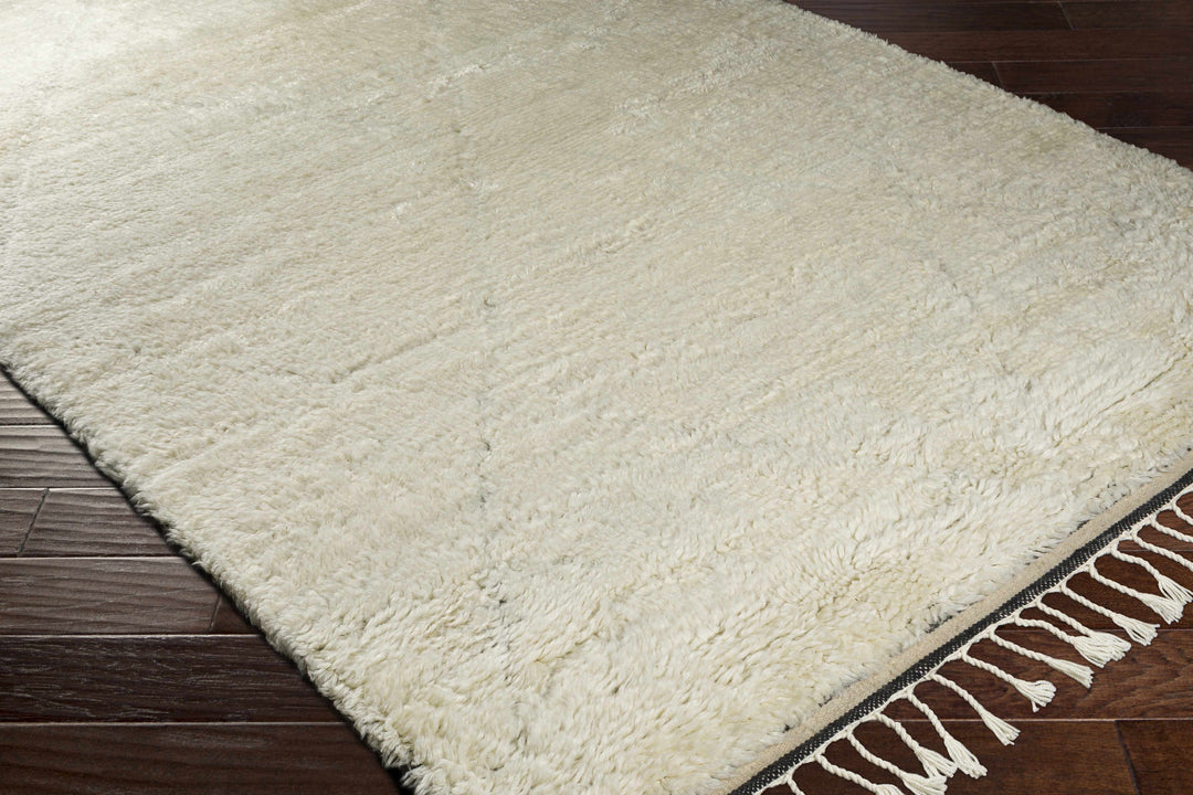 Birdwell Modern Style Ivory And Black Hand Knotted Area Rug