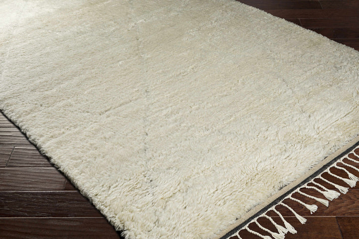 Birdwell Modern Style Ivory And Black Hand Knotted Area Rug