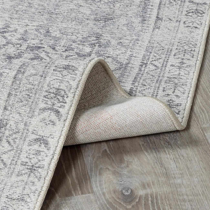 Alyria Traditional Style Gray And Silver Area Rug