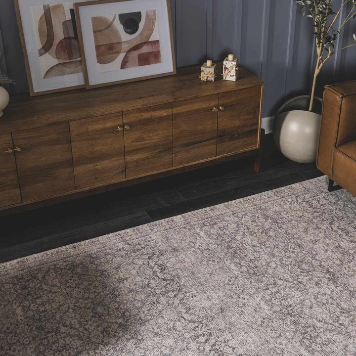 Alyria Traditional Style Gray And Silver Area Rug