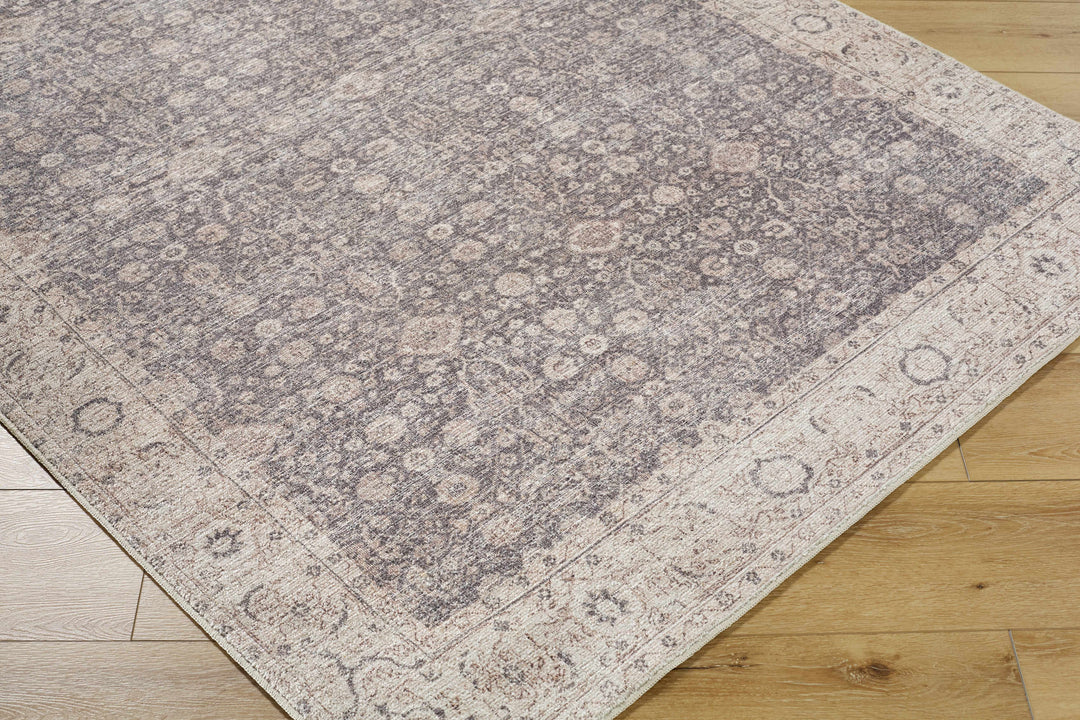 Spokane Traditional Style Brown And Beige Area Rug