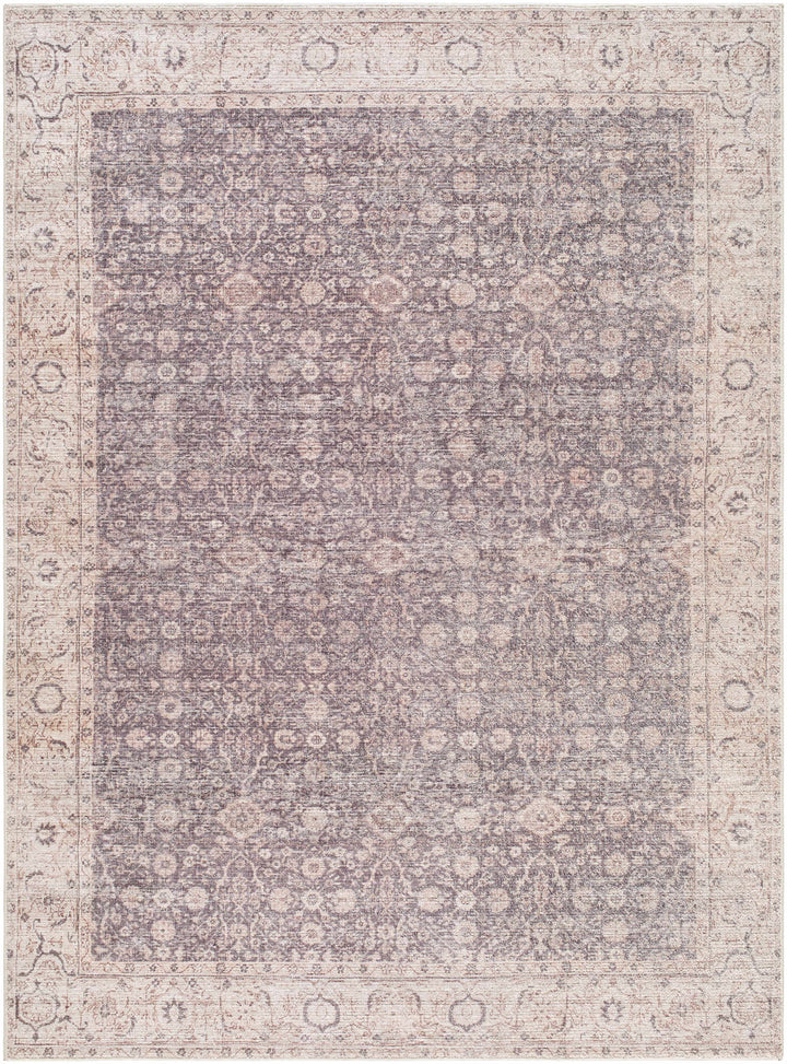 Spokane Traditional Style Brown And Beige Area Rug