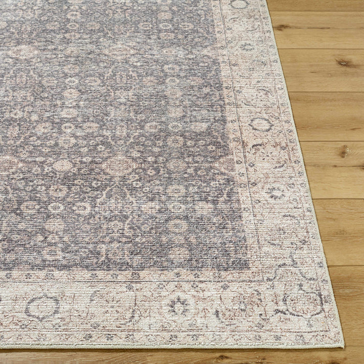Spokane Traditional Style Brown And Beige Area Rug