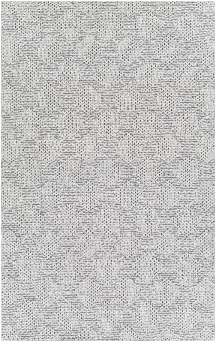 Bakersfield Hand Woven Gray Modern Style Area Rug