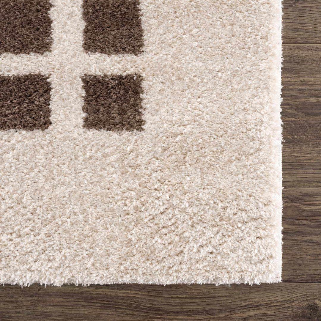 Baback Modern Geometrical Beige And Brown Area Rug