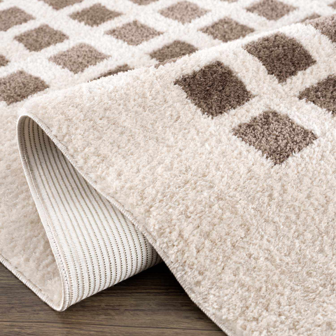 Baback Modern Geometrical Beige And Brown Area Rug