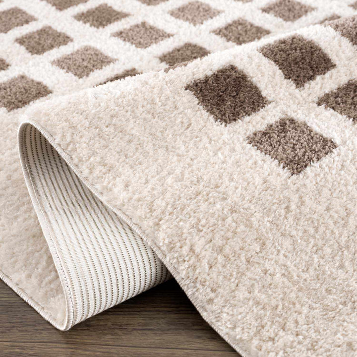Baback Modern Geometrical Beige And Brown Area Rug
