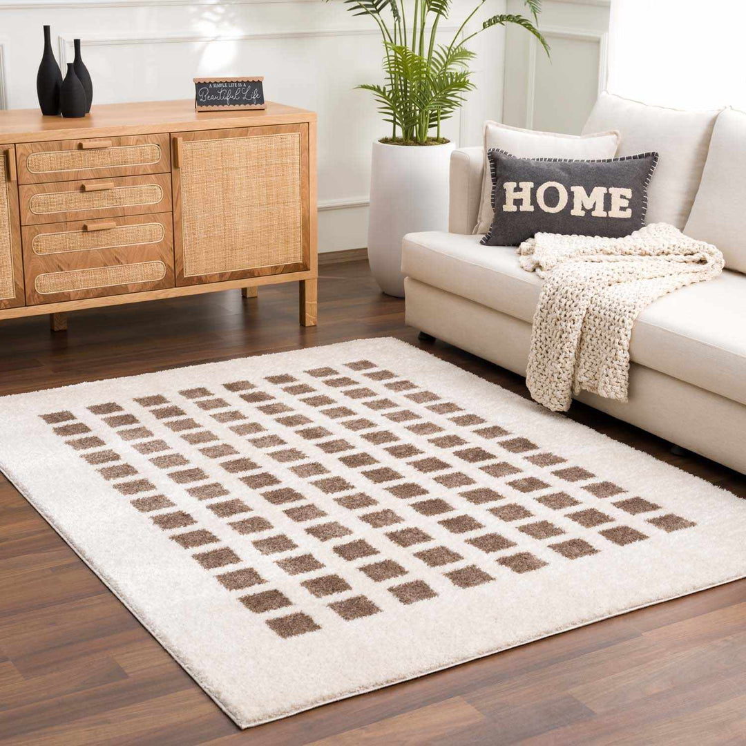 Baback Modern Geometrical Beige And Brown Area Rug