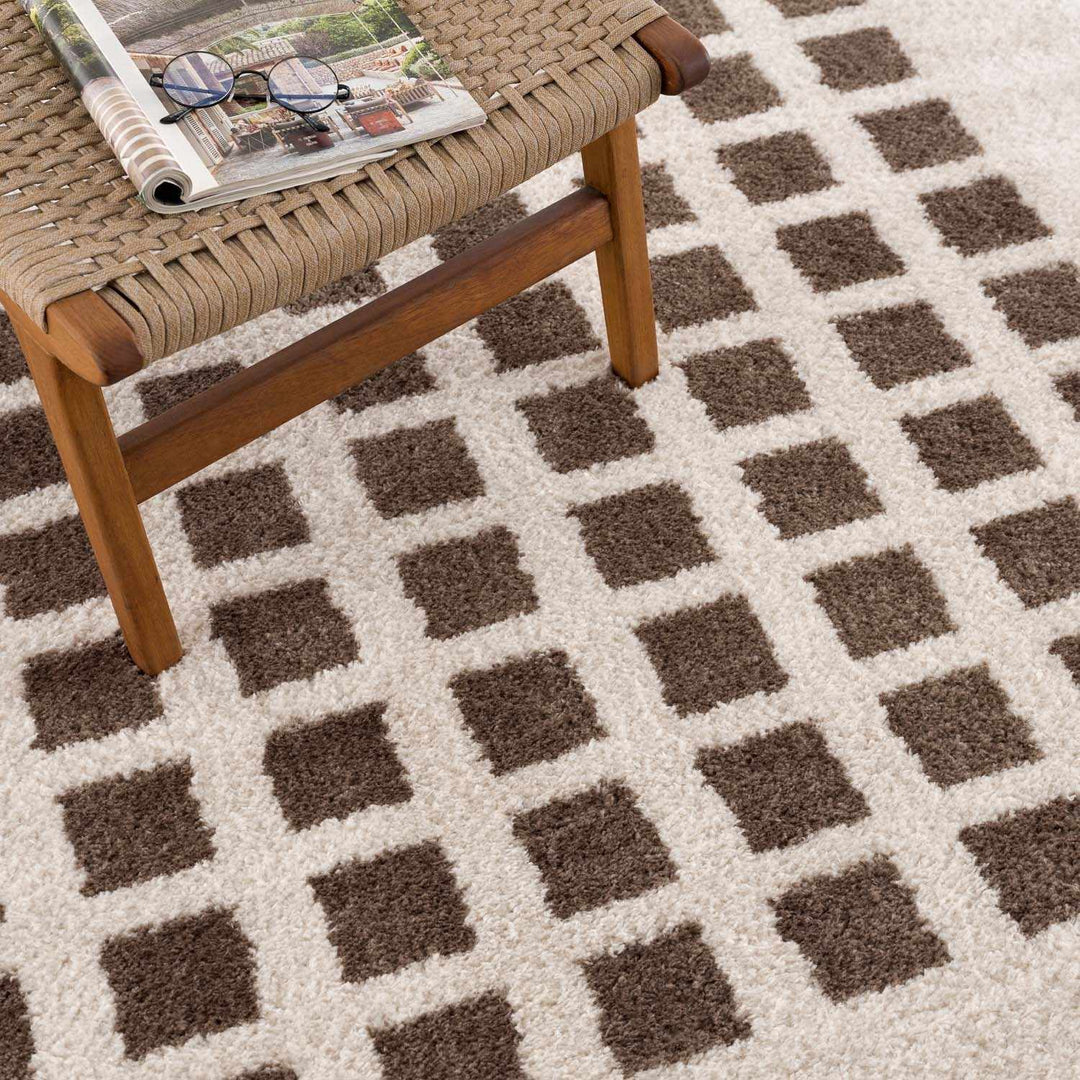 Baback Modern Geometrical Beige And Brown Area Rug