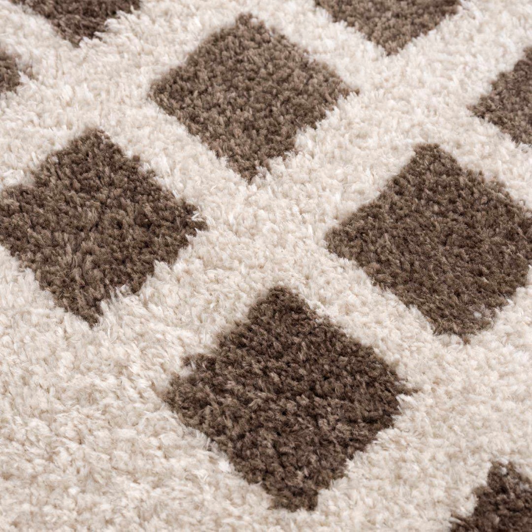 Baback Modern Geometrical Beige And Brown Area Rug