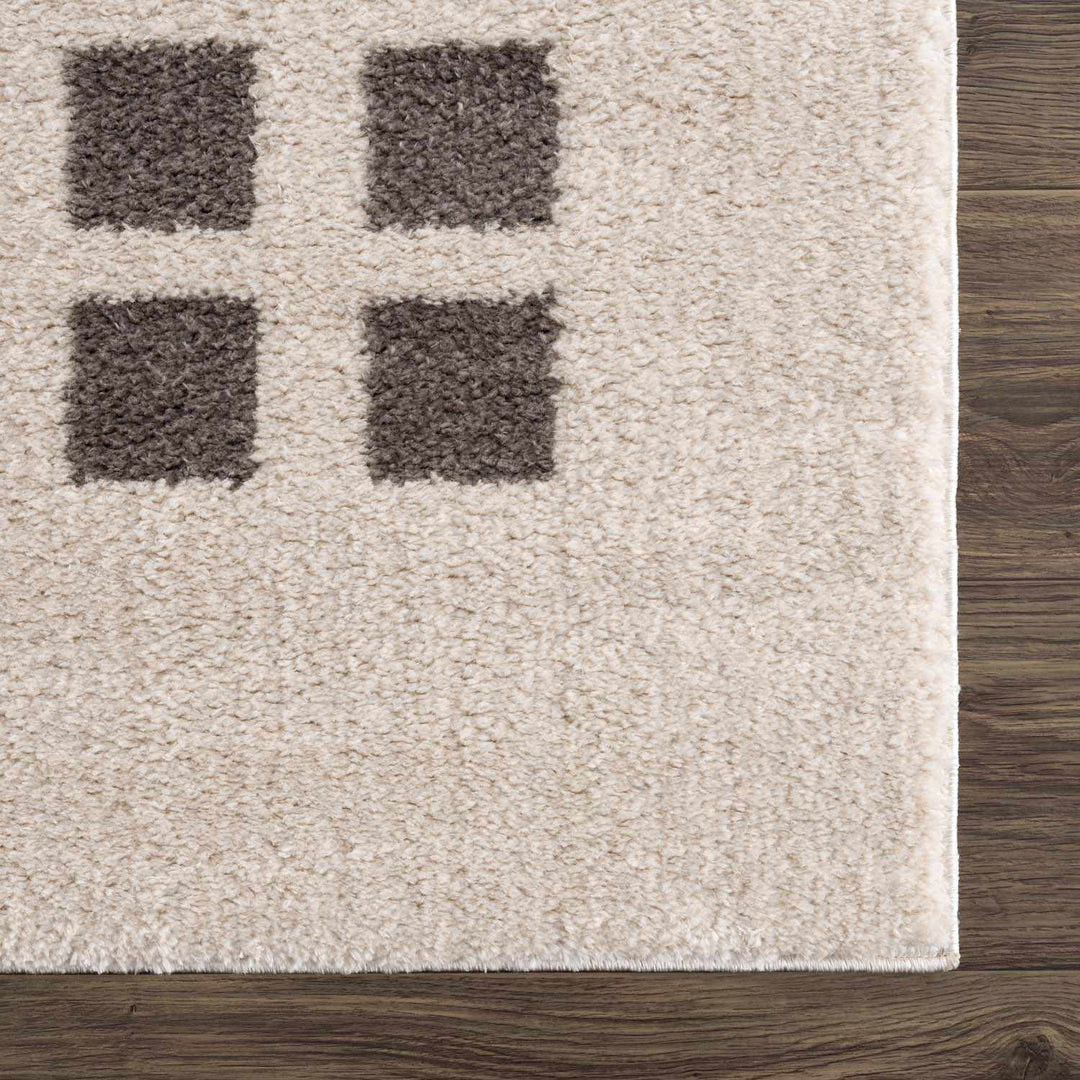 Baback Modern Geometrical Beige And Charcoal Washable Area Rug