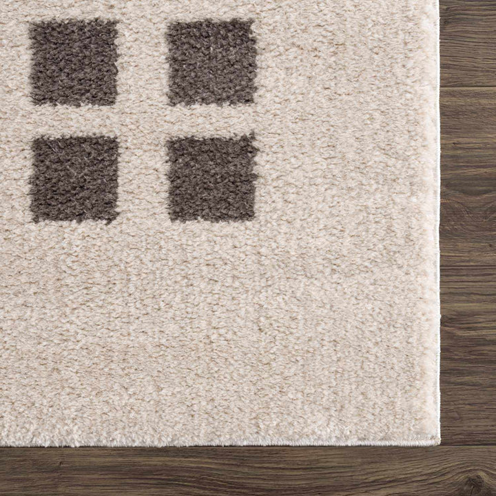 Baback Modern Geometrical Beige And Charcoal Washable Area Rug